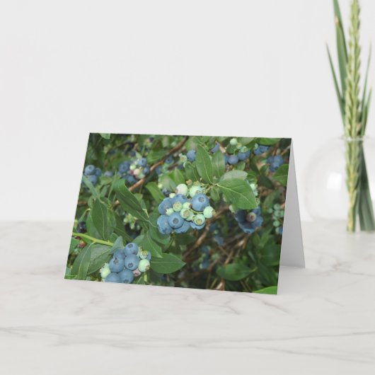 Carte Brays Blueberries Greene Comté Indiana (Devant)