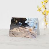 Carte Breakers, Beachlife (Fleur jaune)