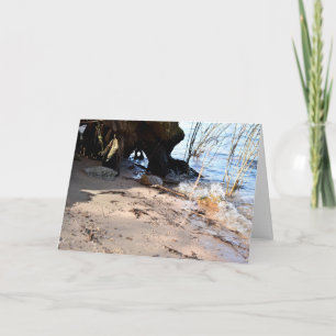 Carte Breakers, Beachlife