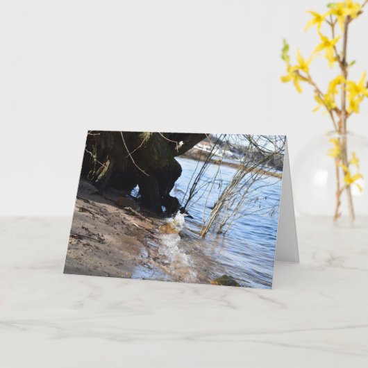 Carte Breakers, Beachlife (Fleur jaune)