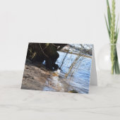 Carte Breakers, Beachlife (Devant)