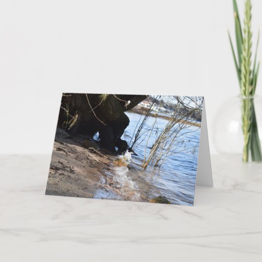 Carte Breakers, Beachlife (Devant)