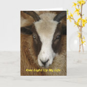 Carte Brebis éclaire ma vie d'anniversaire (Fleur jaune)