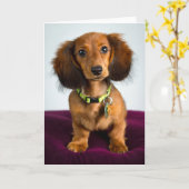 Carte Brève histoire (Fleur jaune)