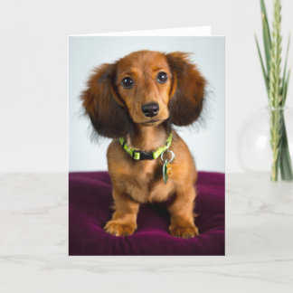 Carte Brève histoire