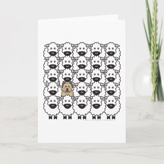 Carte Briard chez les moutons (Devant)