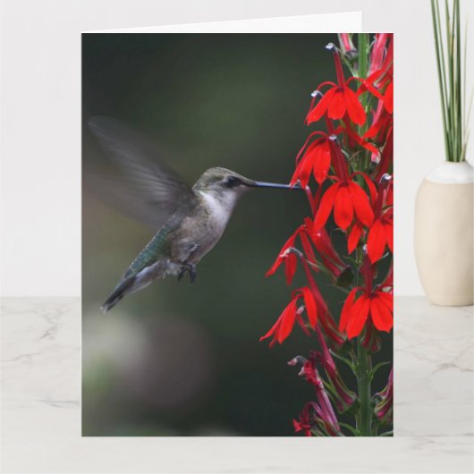 Carte Brighten someone's day with this lovely card !! (Devant)