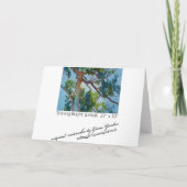 Carte "brillant brillant" (Dos)