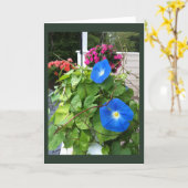 Carte Brilliant Blue Morning Glories Blank  (Fleur jaune)