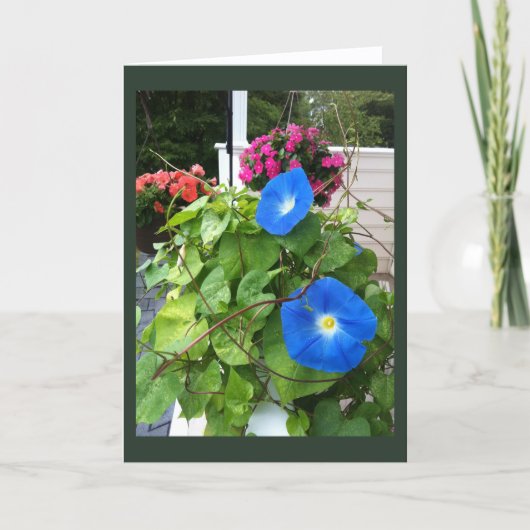 Carte Brilliant Blue Morning Glories Blank  (Devant)