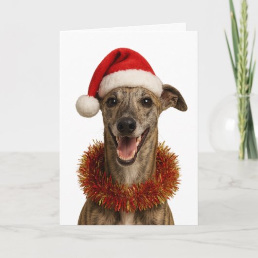 Carte Brindle whippet in a Santa hat Christmas card (Devant)
