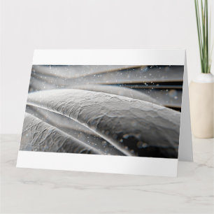 Carte Brins de cheveux microscopiques