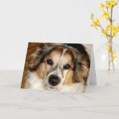 Carte Bristol (Fleur jaune)