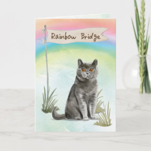 Carte British Short Hair Cat Pet Sympathie sur Rainbow