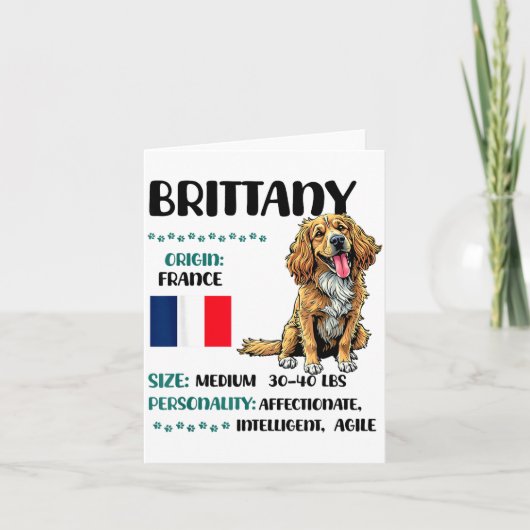 Carte Brittany Origin Funny Brittany Dog Lover  (Devant)