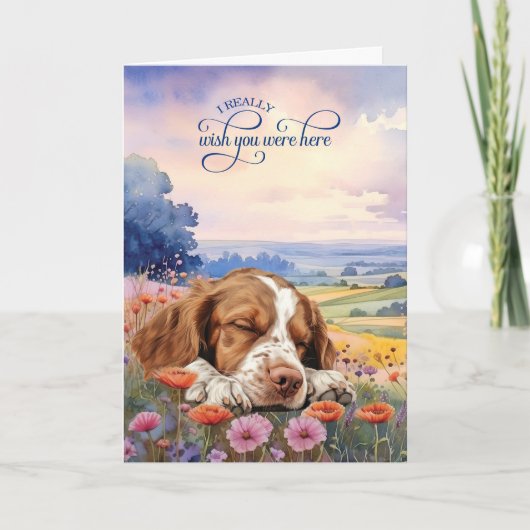 Carte Brittany Spaniel Dog Wildflowers Miss You (Devant)