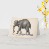 Carte Brodtmann Elephant Sketch (Fleur jaune)