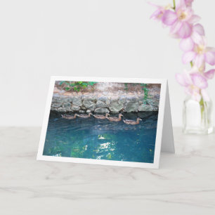 Carte Brood of Ducks in Majestic Blue Water