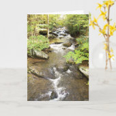 Carte Brook (Fleur jaune)