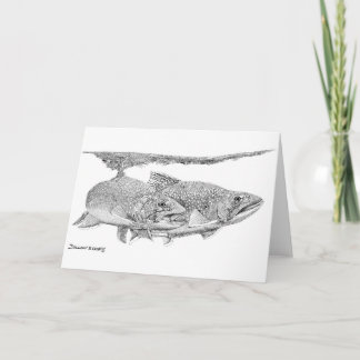 Carte Brook Trout