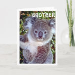 CARTE BROTHE THIS "KOALA BIRTHDAY CARD IS JUST FOR YOU<br><div class="desc">HAPPY BIRTHDAY you MY BROTHER - FROM This CUTE Koala is up in his tree!!!!!!</div>