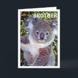 CARTE BROTHE THIS "KOALA BIRTHDAY CARD IS JUST FOR YOU<br><div class="desc">HAPPY BIRTHDAY you MY BROTHER - FROM This CUTE Koala is up in his tree!!!!!!</div>