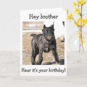 CARTE BROTHER-ITALIAN CANE CORSO (Fleur jaune)