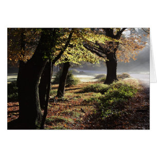 Carte brouillard d'automne