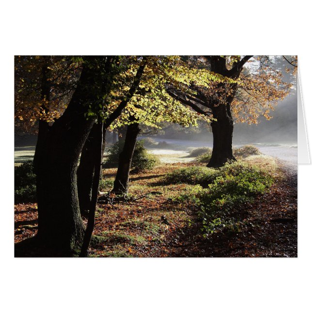 Carte brouillard d'automne (Devant horizontal)
