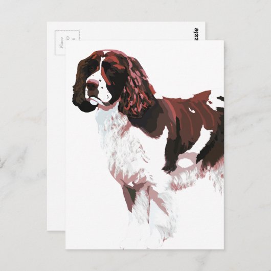 Carte Brown et blanc Springer Spaniel (Devant / Derrière)