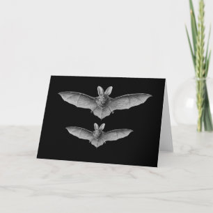 Carte Brown & Lesser Long-eared bats