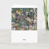 Carte Brown Thrasher, Sunshine (Dos)