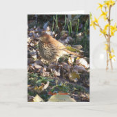 Carte Brown Thrasher, Sunshine (Fleur jaune)