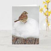 Carte Bruant à gorge blanche (Fleur jaune)