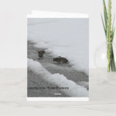 Carte Bruant Dans À feuillage persistant Neige (Dos)