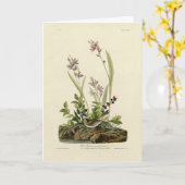 Carte Bruant de champ des oiseaux d'Amérique d'Audubon (Fleur jaune)