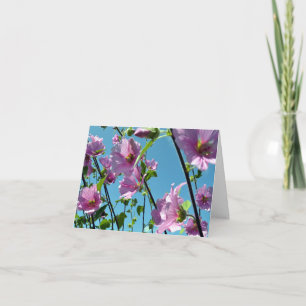 Carte Bruant des arbres (Lavatera arborea)