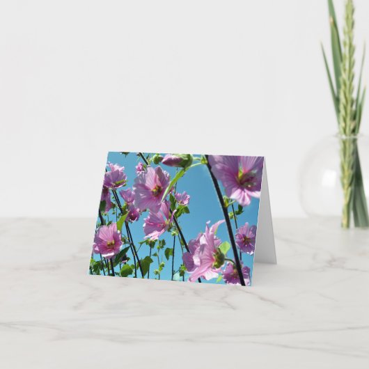 Carte Bruant des arbres (Lavatera arborea) (Devant)