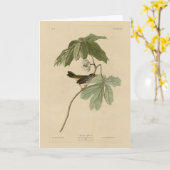 Carte Bruant des marais des oiseaux d'Amérique d'Audubon (Fleur jaune)