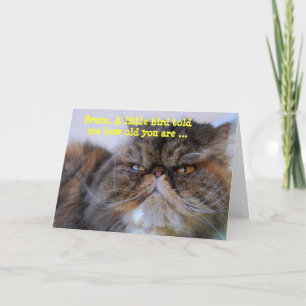Carte Bruce Joyeux Humour d'anniversaire Calico Persian 