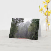 Carte Brume et eucalyptus (Fleur jaune)