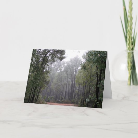 Carte Brume et eucalyptus (Devant)