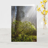 Carte Brume matinale sur Rhododendron (Fleur jaune)