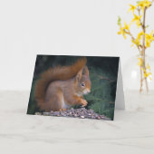 Carte Brunch Nut (Fleur jaune)