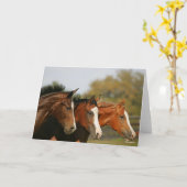 Carte BTtrois quarts de chevaux en tête (Fleur jaune)