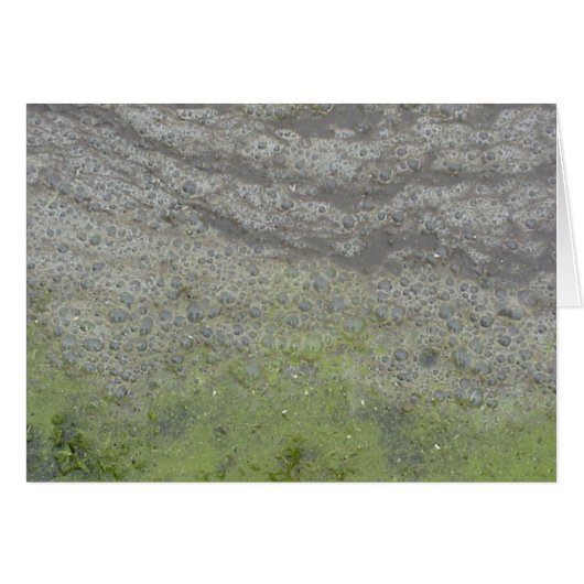 Carte Bubblescum (Devant horizontal)