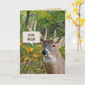 Carte Buck cerf en bois anniversaire (Fleur jaune)
