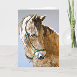 Carte Buck of the Morgan Horse Ranch, PRNS