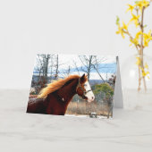 Carte Buckie sur la montagne de Rogers (Fleur jaune)