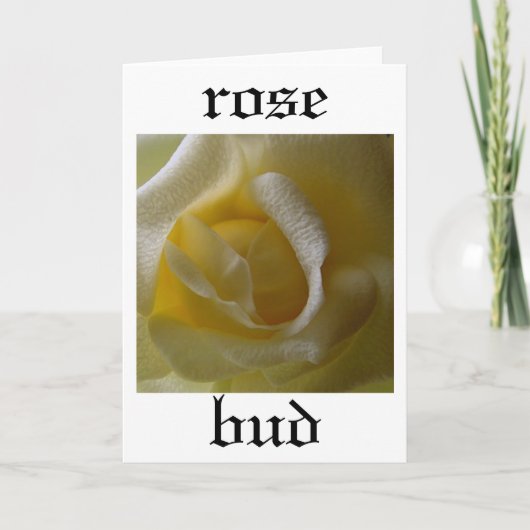 Carte Bud rose (Devant)